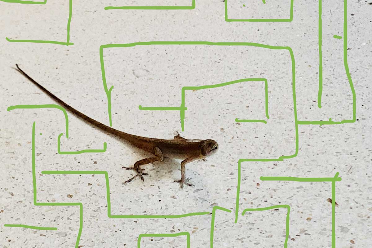 Viaggi da camera, Maurizio Cattelan