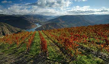Viaggio in Portogallo in autunno