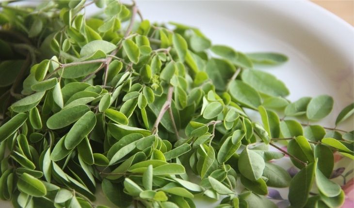 Moringa