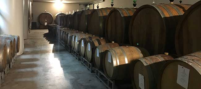 Visitare cantina alba