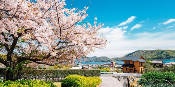 shikoku viaggio