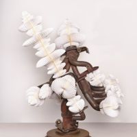 keita-miyazaki-6