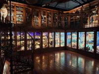 Il Cabinet of Curiosities dell'Università di Coimbra