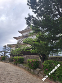 marugame-shikoku_1