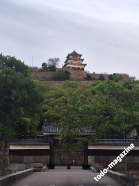 marugame-shikoku_3
