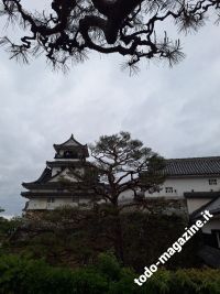 kochi-castello-shikoku_2