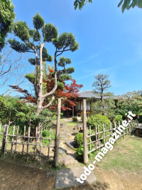 Giardini Tensha-en di Uwajima