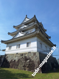 Il castello di Kochi - esterno