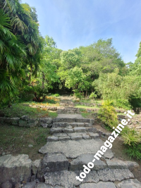 Giardini Tensha-en di Uwajima