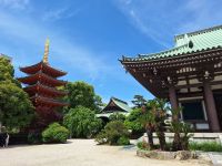fukuoka-cosa-vedere_1