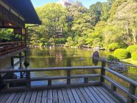 fukuoka-cosa-vedere_5